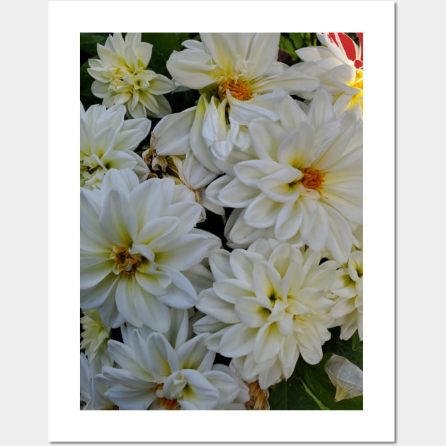 White Flower Bunch Photography My Wall Art by ShubShank